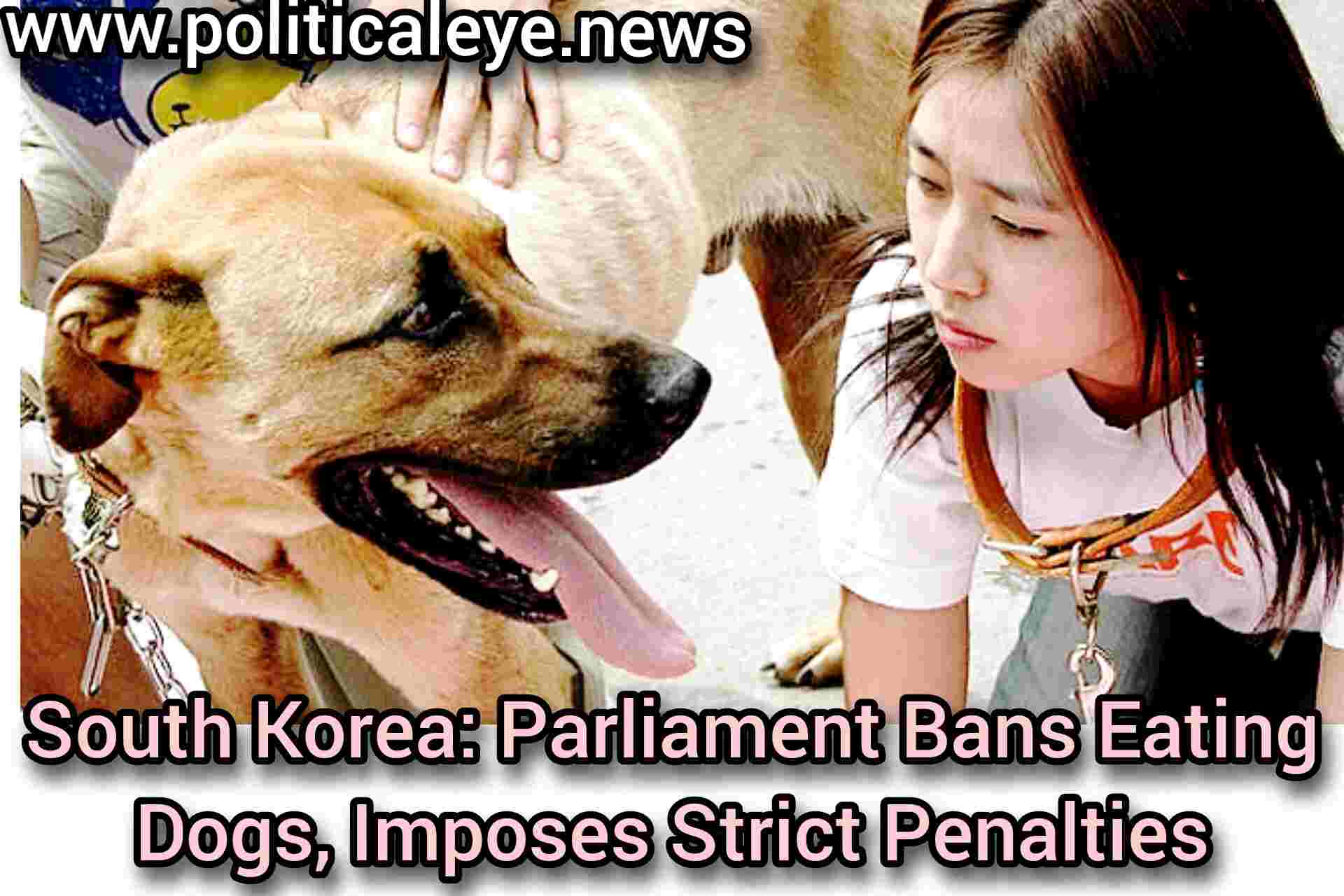 Historic Move in South Korea Parliament Bans Eating Dogs Imposes Strict Penalties; #southkoriya,